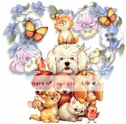 dieren Pictures, Images and Photos