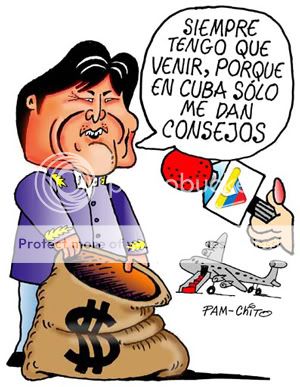 0523pamchito.jpg picture by lavastida