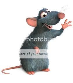 20076142223rata2-1.jpg picture by lavastida