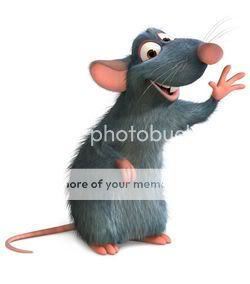 20076142223rata2.jpg COMBATE NEWS picture by lavastida