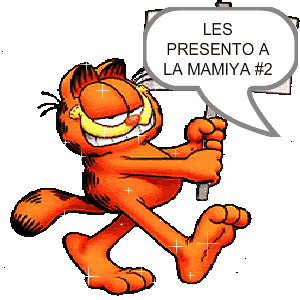 Animation5-garfieldpresente-3.gif picture by lavastida