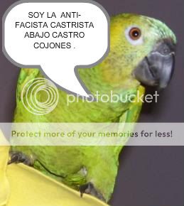 Fidelitoellorobmp-1.jpg picture by lavastida