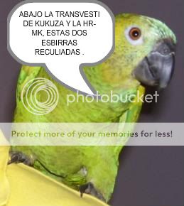 Fidelitoellorobmp-2.jpg picture by lavastida