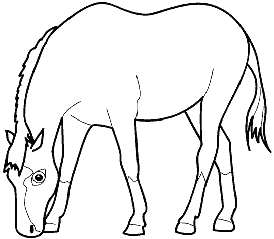 Desenho para colorir e pintar do(a) Cavalo Desenho do(a)  Cavalo