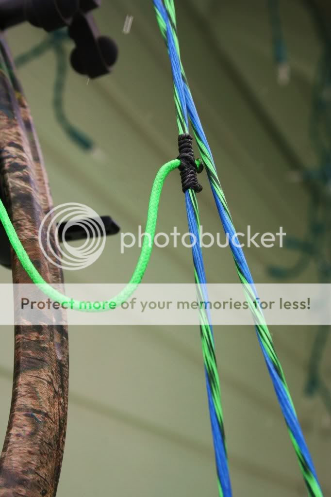 Who has best price on winners choice bow strings? IFish Fishing Forum