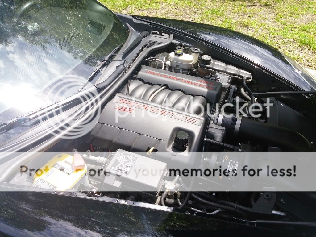 IMG_20150421_122540_zpsweenmwgs.jpg~original