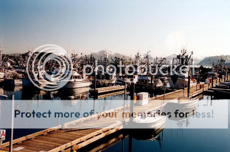 Kodiak Harbor at peace