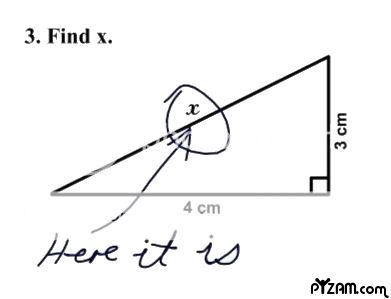 find x here it is photo: Find X fun32.jpg