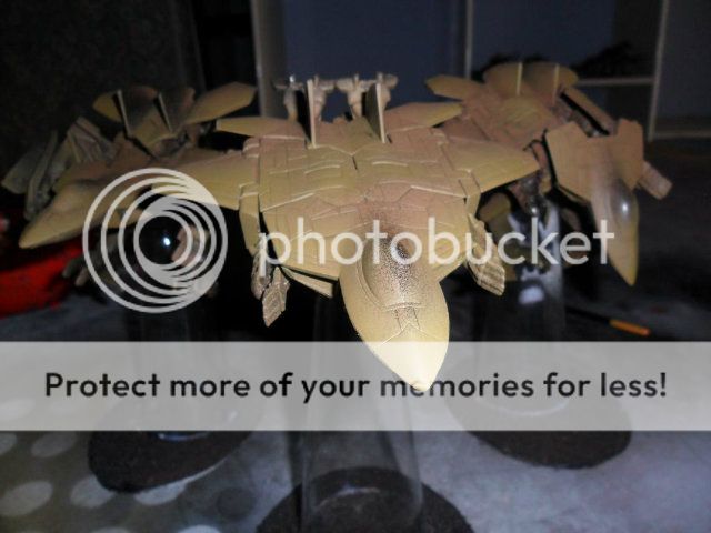 IPB Image