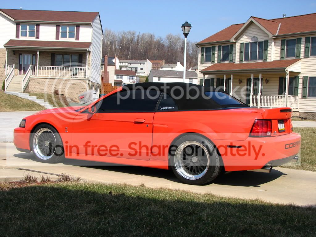 [Image: 9s4h9u-1.jpg]