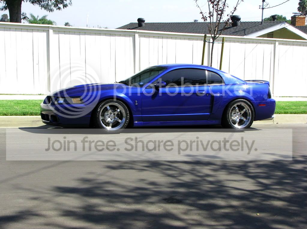 [Image: IMG_2897.jpg]