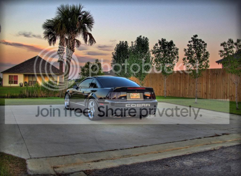 [Image: IMG_3045And12More_tonemappedcopy.jpg]