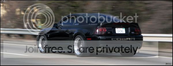 [Image: megoing.jpg]