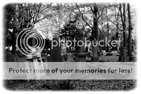 Fotografie