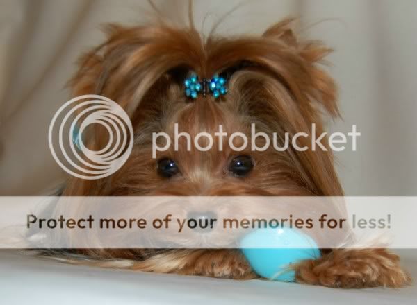 Too Cute Pictures, Images and Photos