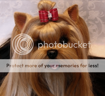 Doll Pictures, Images and Photos