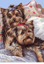 Ready For Bed Pictures, Images and Photos