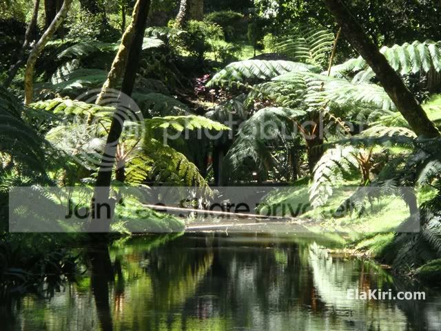 DSC00545.jpg