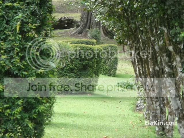 DSC00575.jpg