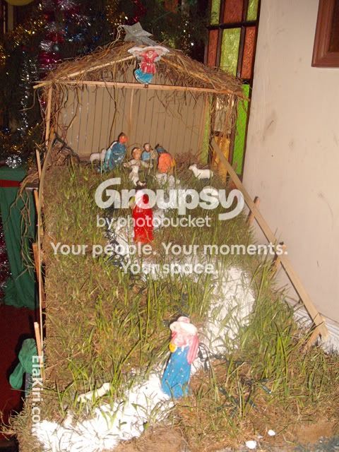 DSCF0207.jpg