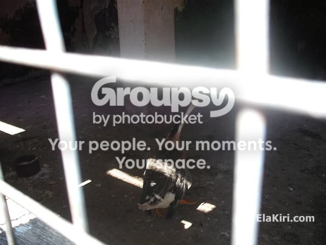 DSCF0229.jpg