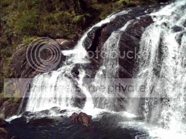 Image11.jpg