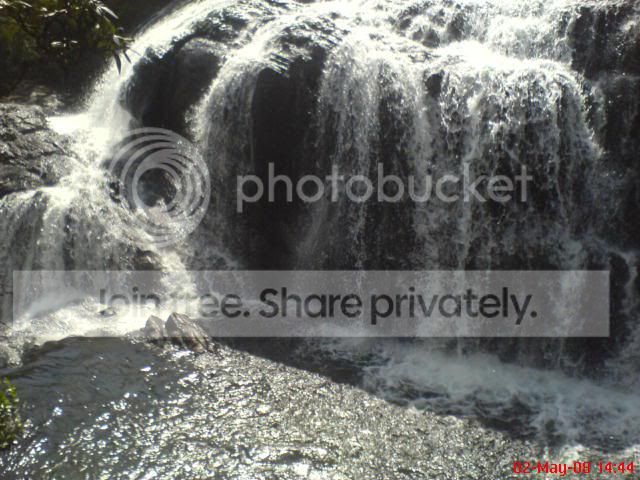 Image15.jpg