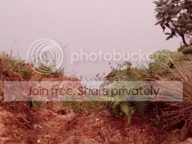Image2-4.jpg