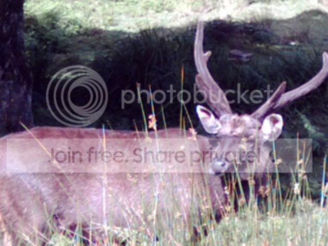 Image3-3.jpg