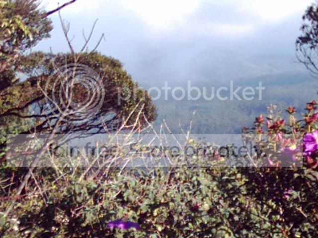 Image6-1.jpg