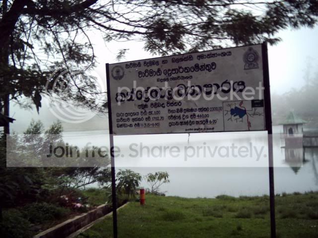 Image7.jpg