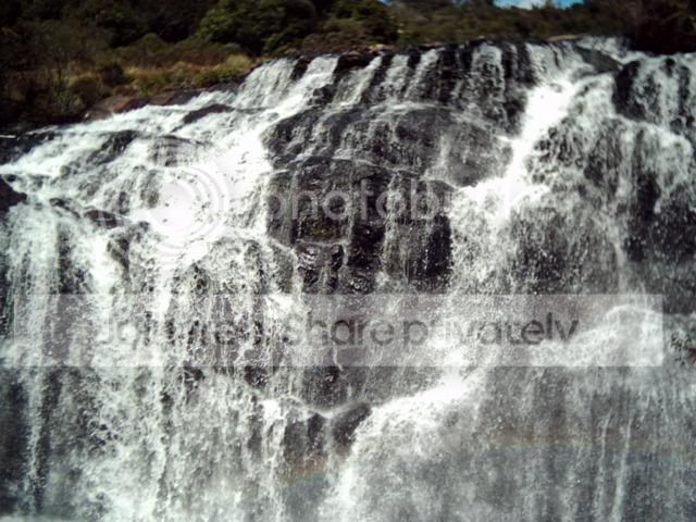 Image9.jpg